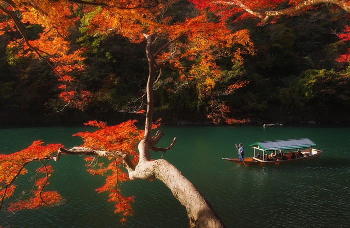 Boat on a river with autumn trees in Kyoto, Japan