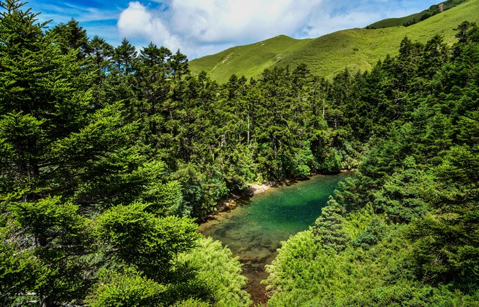 Forest lake in Taiwan with mountains
