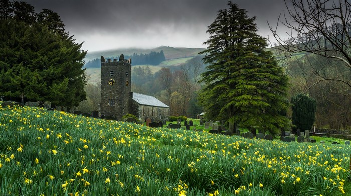 Church in Troutbeck, England with Daffodils