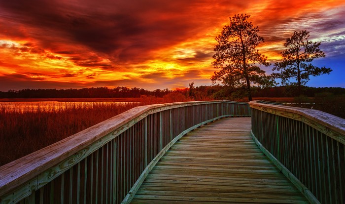 Wooden boardwalk over marshland at sunset in Virginia, USA