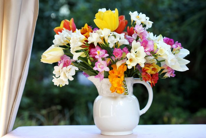 Colorful Freesia and Tulips in a White Pitcher Vase
