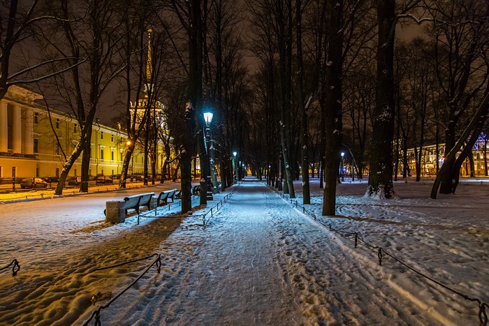 Alexander Garden in St. Petersburg, Russia at Night in Winter