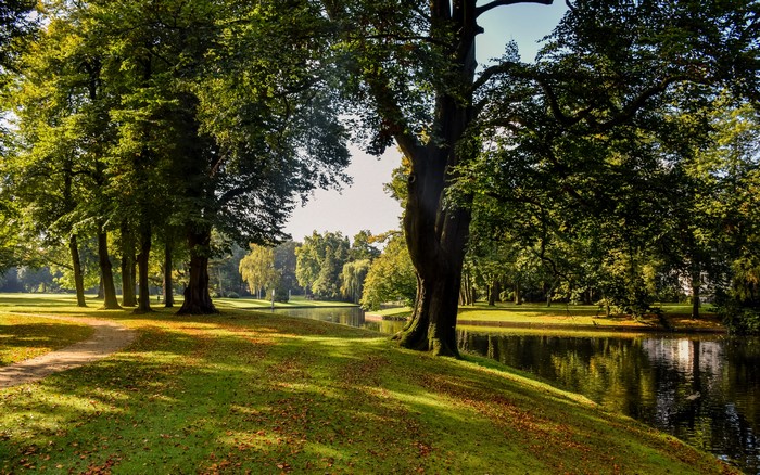 Park with river and trees in autumn
