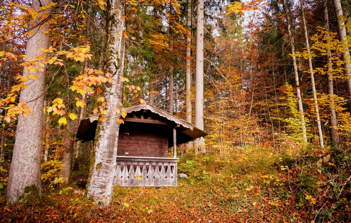 Wooden cabin in a Bavarian forest during autumn