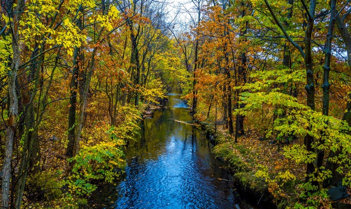 Autumn river flowing through a forest with colorful trees