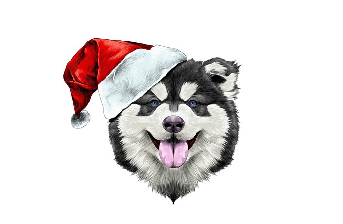 Husky dog wearing a Santa hat