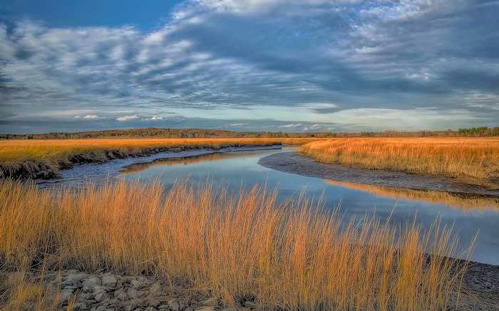 Marshland with river and golden reeds under cloudy sky