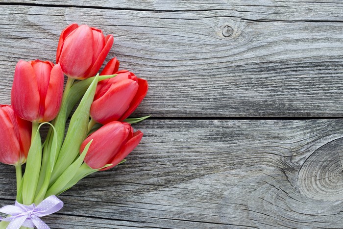 Red Tulips on Wood Planks