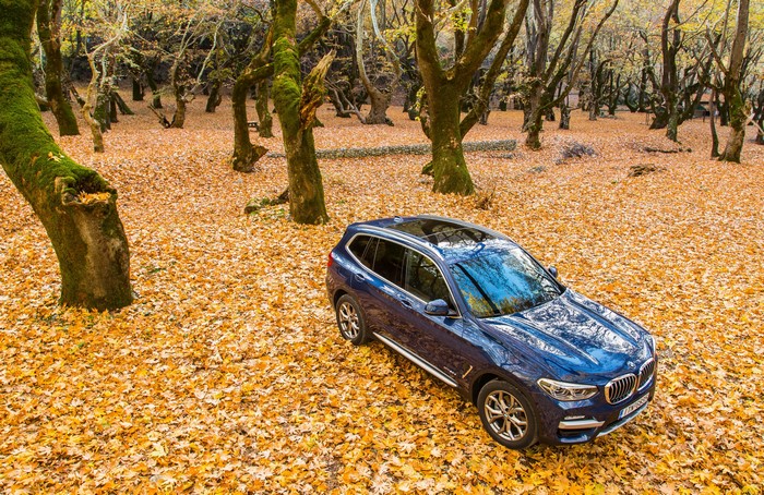 Blue BMW X3 in autumn forest