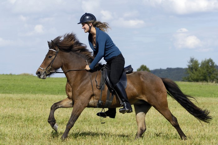 Woman riding a brown horse in a field