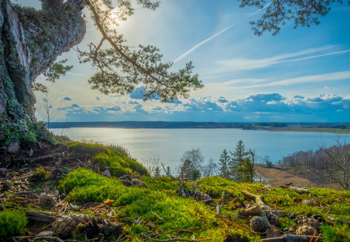 Mossy Hillside Overlooking a Lake in Sweden
