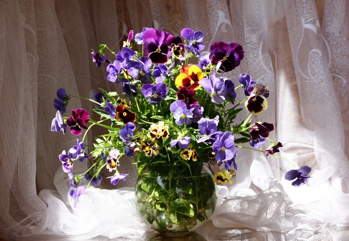 Bouquet of Pansies in a Glass Vase