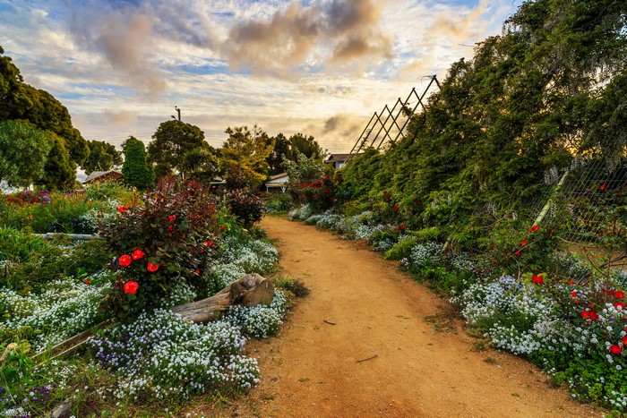 4K Algarrobo Chile Gardens Path