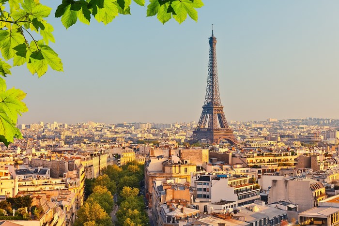 Paris cityscape with Eiffel Tower and green leaves