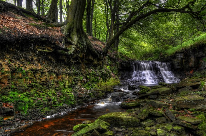 Waterfall in Roddlesworth Woods, England