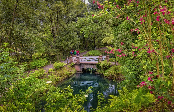 Brick bridge over a pond in a park with trees