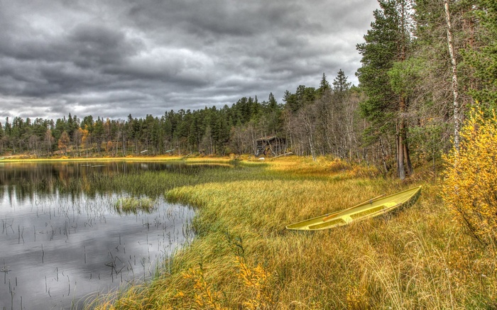 Yellow canoe on grassy shore of lake with forest