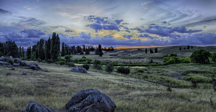 Rural landscape with tall trees and rocks at sunset