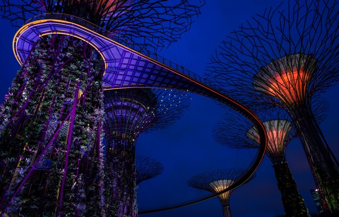 Gardens by the Bay Singapore at Night