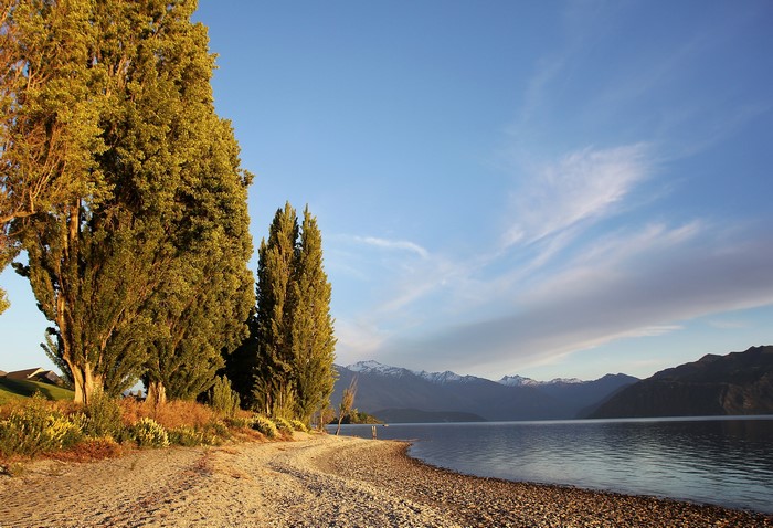 Lake Wanaka, New Zealand with Autumn Trees