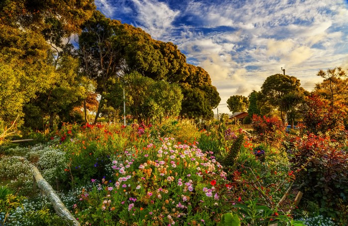 4K Gardens Algarrobo, Chile with Trees and Shrubs