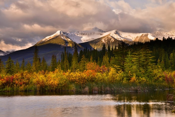 Autumn forest and snowy mountains reflected in a lake in Banff National Park, Canada