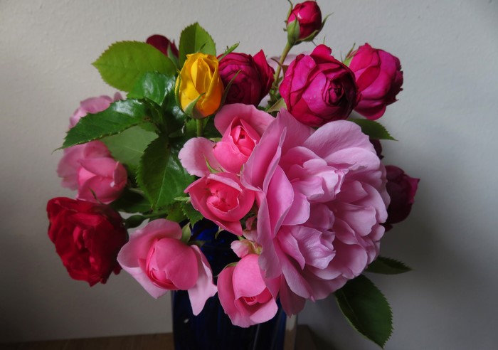 Bouquet of colorful roses in a blue vase