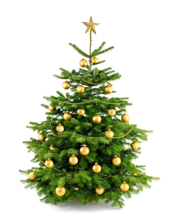 Decorated Christmas tree with gold ornaments and star