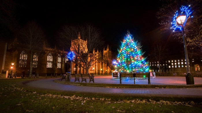 Christmas tree and church at night in Bristol, England