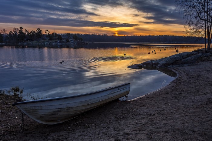 Boat on a sandy shore at sunset near a forest