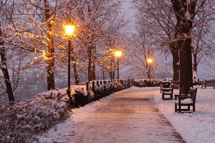 Winter Evening in a Snowy Park with Street Lights