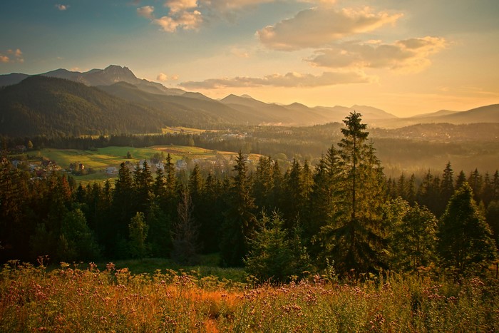 Mountain landscape with spruce forest and village at sunset