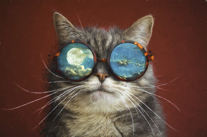 Cat wearing glasses with moon and clouds reflection