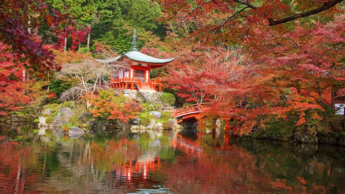Kyoto Japan Autumn Pagoda Park with Pond