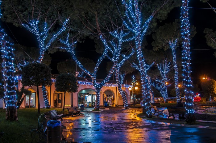 Trees decorated with fairy lights at night in Casamicciola, Italy