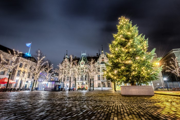Christmas tree and town square in The Hague, Netherlands at night