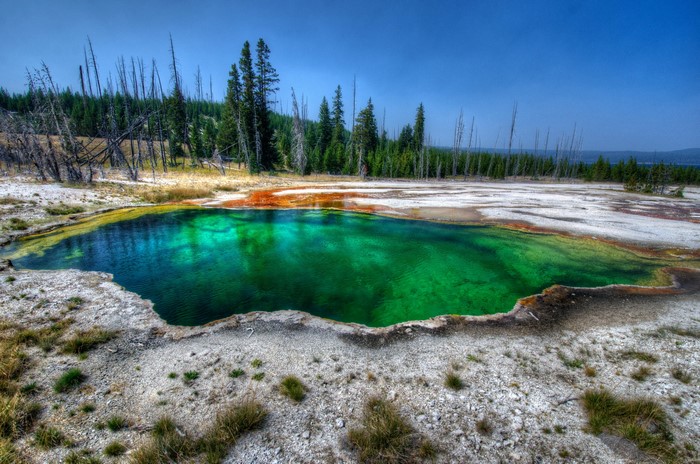 Hot Spring in Yellowstone National Park, USA