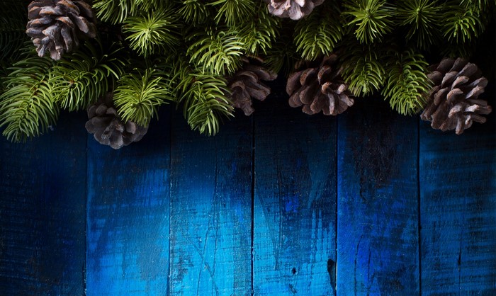 Christmas pine cones and branches on blue wood planks