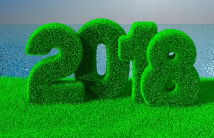 2018 grass numbers on a lawn by the ocean