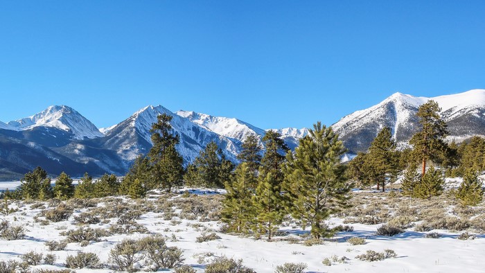 Snowy Mountains and Pine Trees in Colorado