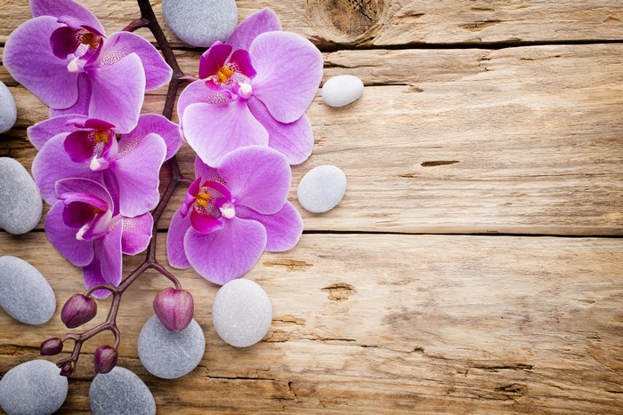 Purple orchids and spa stones on wood