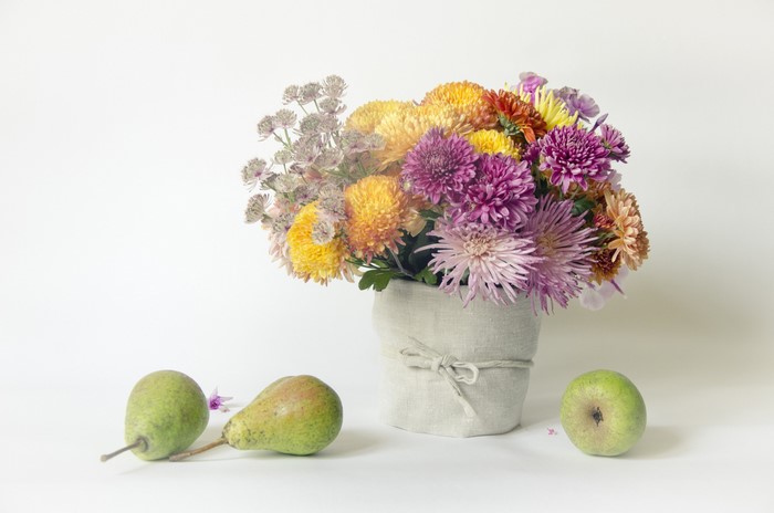 Still-life of Chrysanthemums and Pears