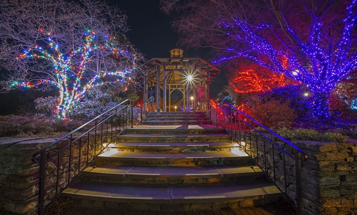 Park Gazebo and Trees Decorated with Christmas Lights at Night