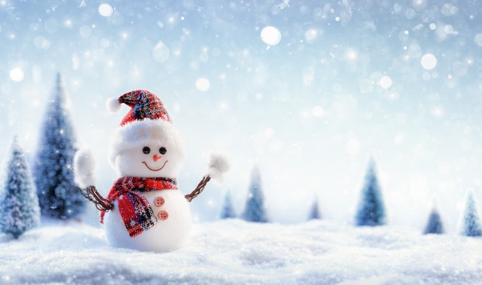 Snowman with Winter Hat and Scarf in Snow