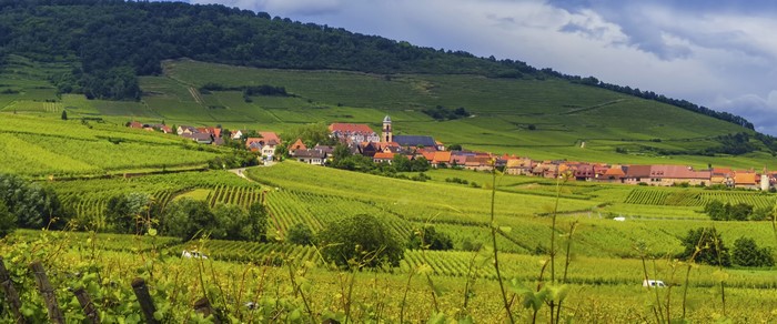 Vineyards and village in the Lavaux region, Switzerland