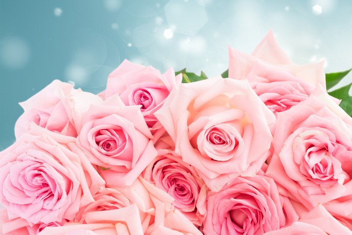 Pink Roses 4K