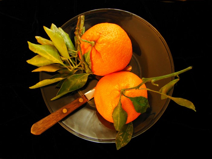 Two oranges with leaves on a plate with a knife