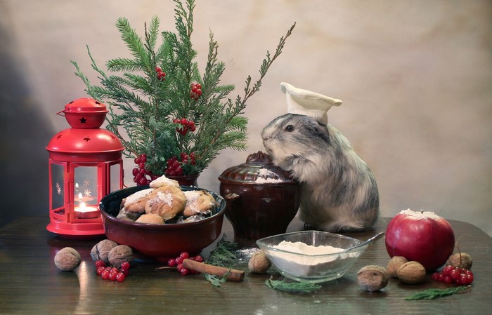Guinea pig chef with Christmas decorations and cookies