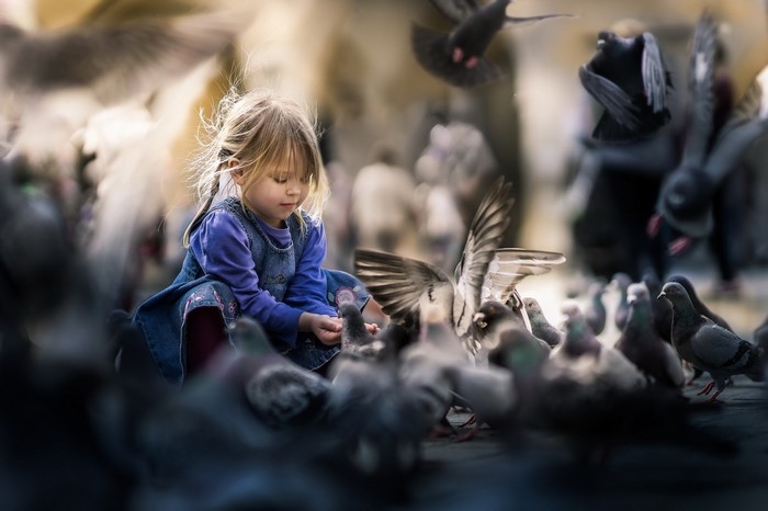 Girl feeding pigeons