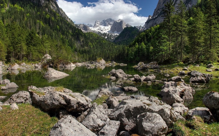 Mountain lake with rocky shore and pine forest